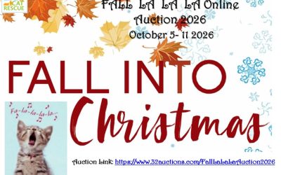 NLCR Fall La LaLa Online Auction – October 5-11 2026